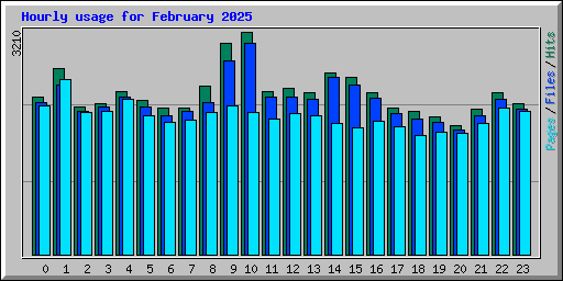 Hourly usage for February 2025